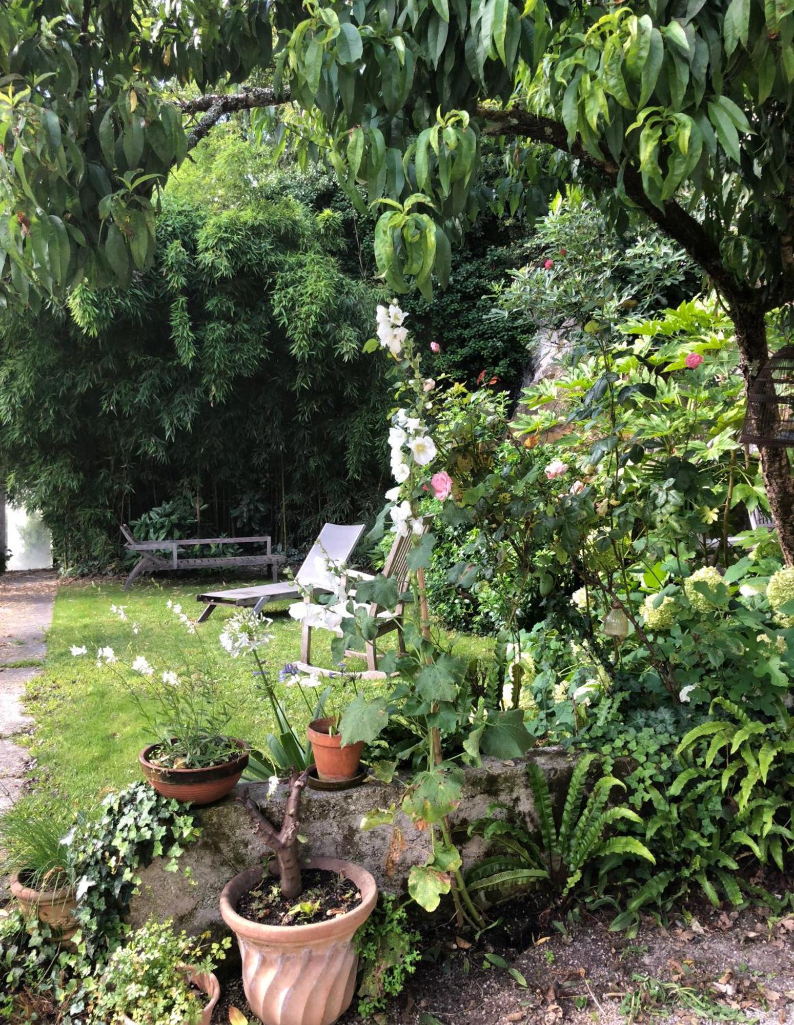 L'Heure Bleue Bed & Breakfast Saintes Luaran gambar